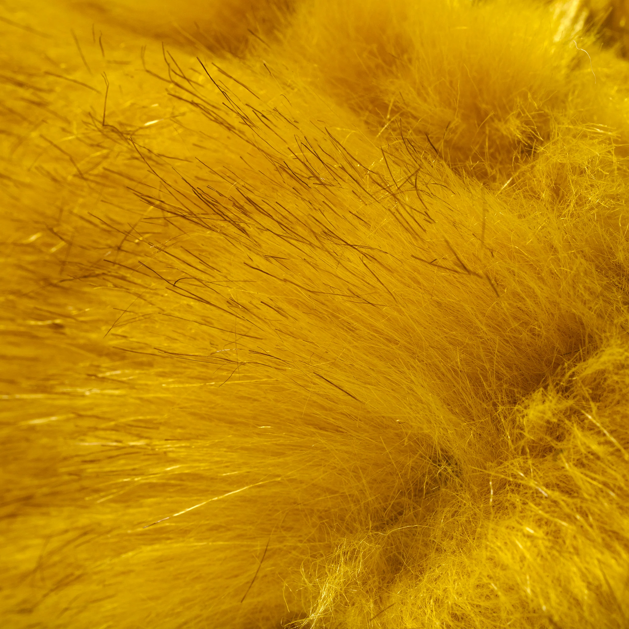 Gully Number 001 “Migration” - Golden Bird - Image 3