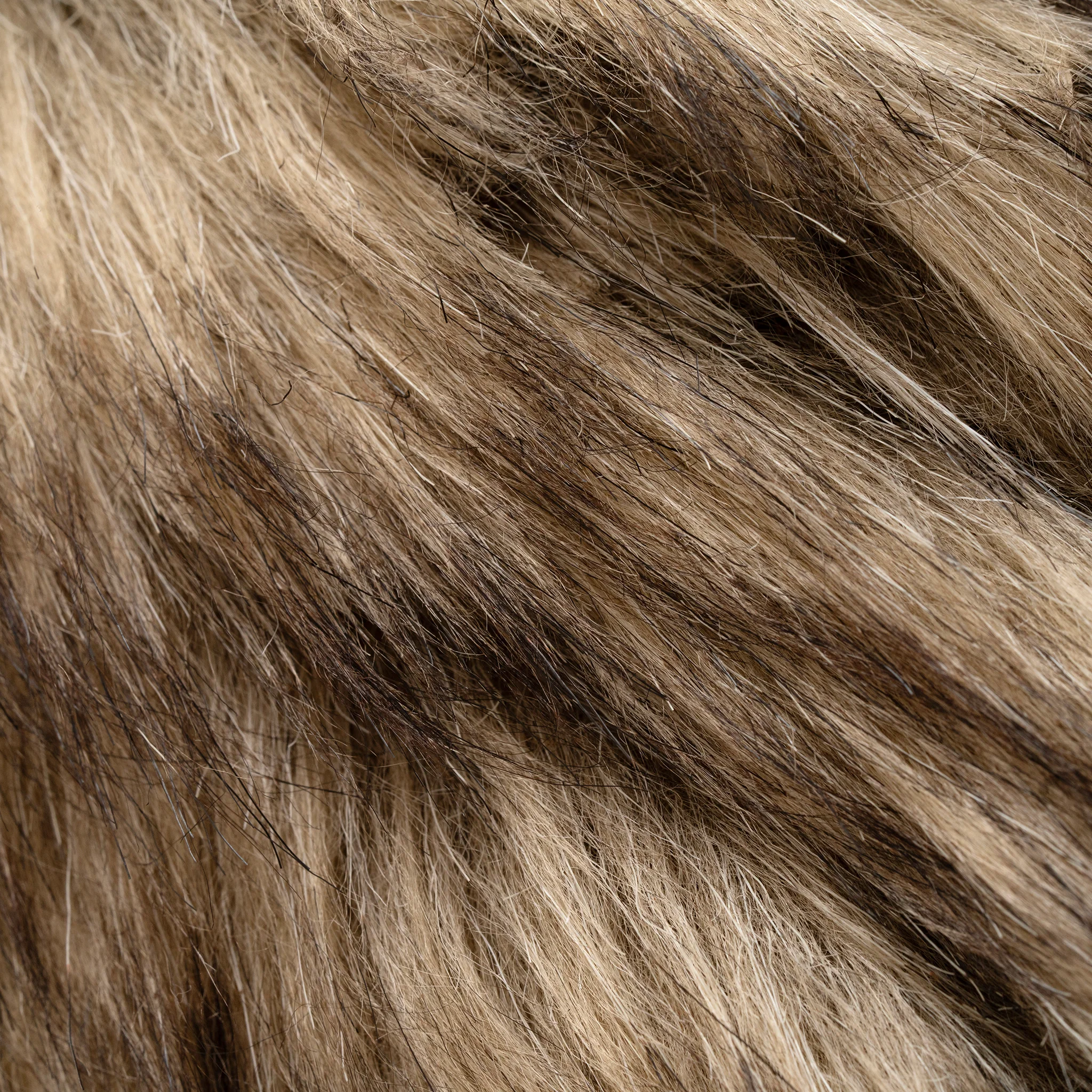 Gully Number 001 “Migration” - Sparrow - Image 3